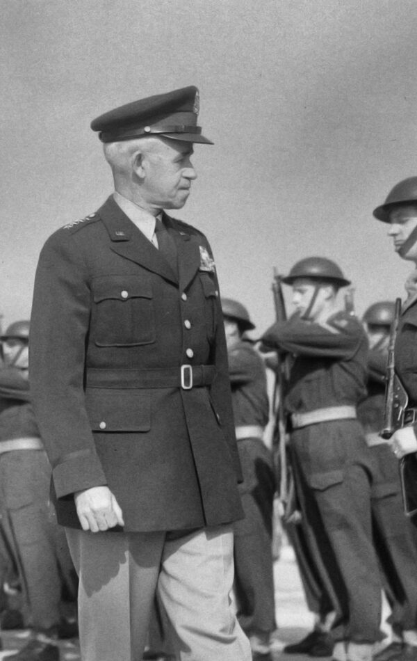 Gentle Leaders primary image